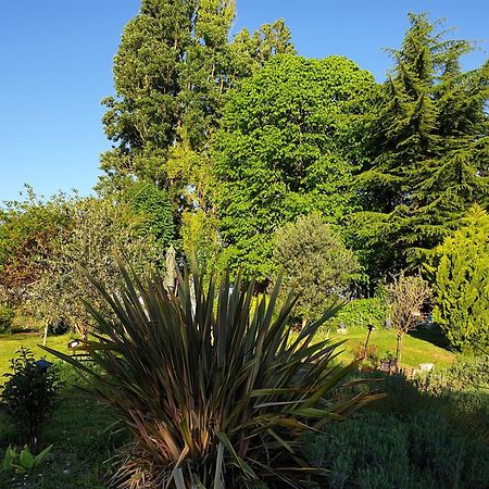 Bed and Breakfast La Tour Du Raygnier Verneuil-le-Chateau Esterno foto