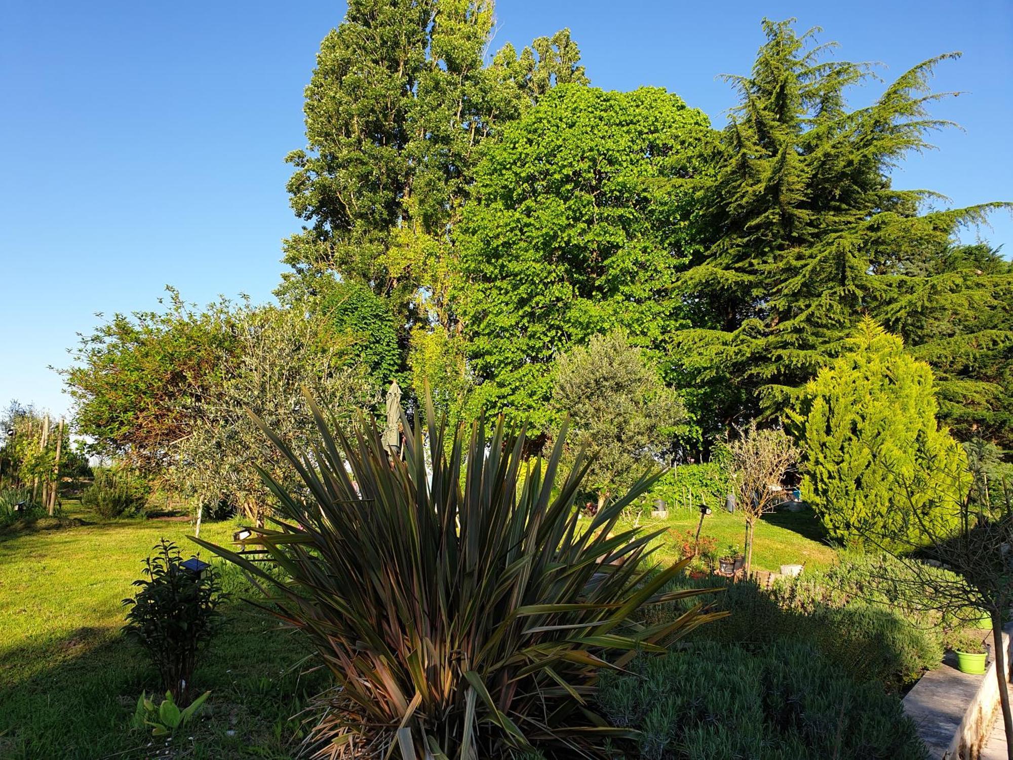 Bed and Breakfast La Tour Du Raygnier Verneuil-le-Chateau Esterno foto