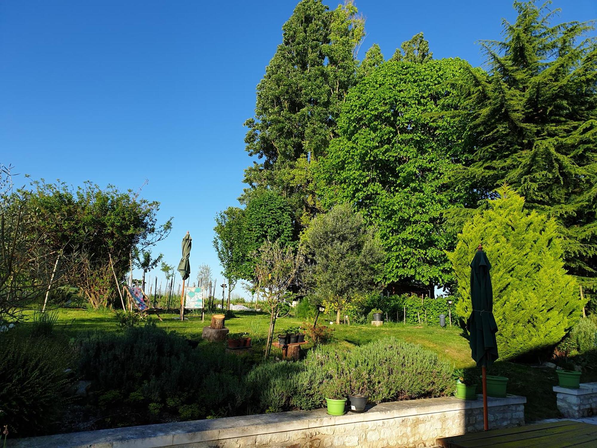 Bed and Breakfast La Tour Du Raygnier Verneuil-le-Chateau Esterno foto